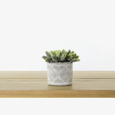 Perch and Parrow Faux Hops Shrub in Embossed Pot