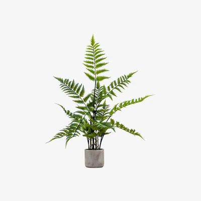 Perch and Parrow Solana Faux Fern in Stone Grey Pot