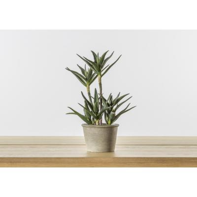 Perch and Parrow Faux Potted Aloe