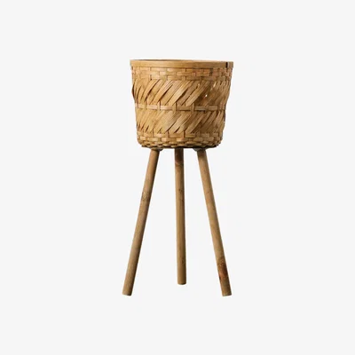 Perch and Parrow Tend-To Planter Large