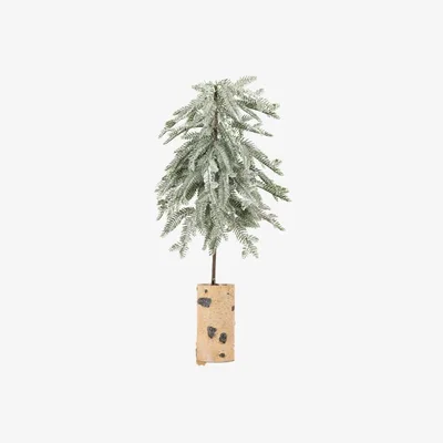 Perch and Parrow Icy Pine Tree with Birchwood Base Large