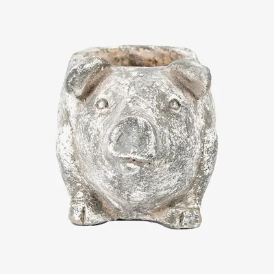 Perch and Parrow Patrick Pig Planter in Antique White - Small
