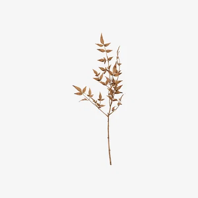Perch and Parrow Dry Leaf Spray in Brown - Pack of 6