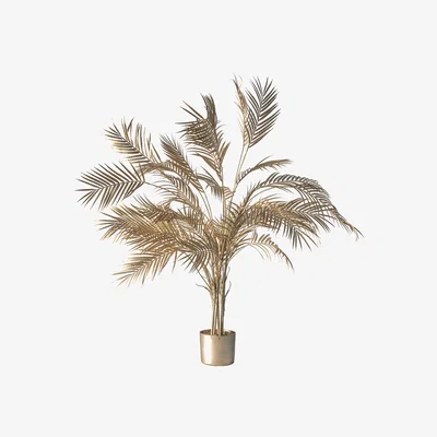 Perch and Parrow Charisma Champagne Potted Palm Tree, Large