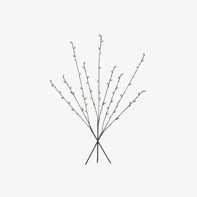 Perch and Parrow Salix Pussy Willow Stems - Set of 6