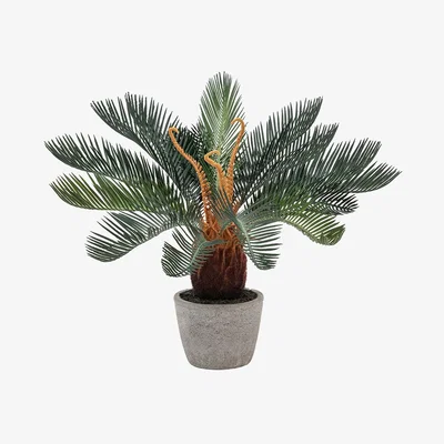 Perch and Parrow Faux Potted Wide Palm