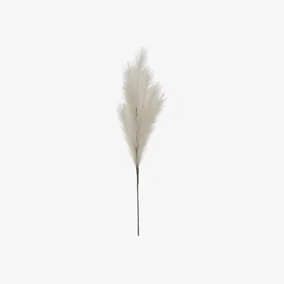 Perch and Parrow Stipa Feathered Spray in Grey - Pack of 6