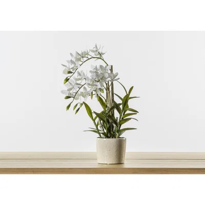 Perch and Parrow Faux Orchid Cycnoches in Pot