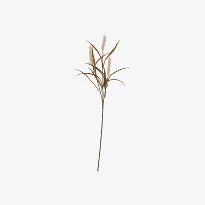 Perch and Parrow Dry Wheat Sheaf in White - Pack of 6