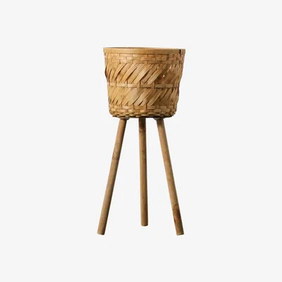 Perch and Parrow Tend-To Planter Small