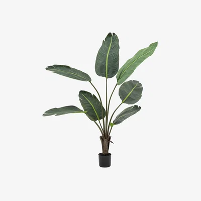 Perch and Parrow Faux Travellers Palm Tree, Medium