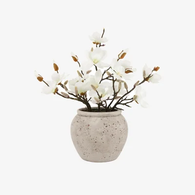 Perch and Parrow Magnolia Arrangement in Vase
