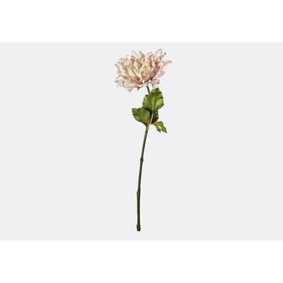 Perch and Parrow Lanzini Faux Dahlia Stem in Blush, Set of Three