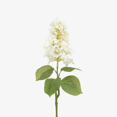 Perch and Parrow Faux Ivory Cone Hydrangea Stem, Set of 12