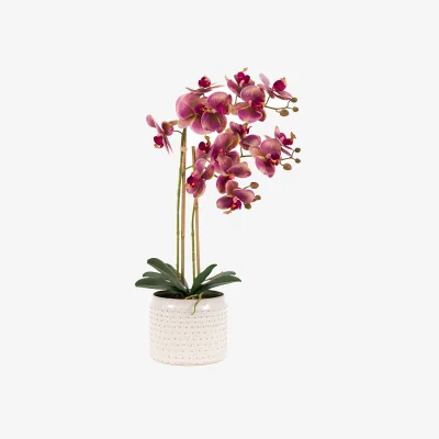 Perch and Parrow Faux Pink Orchid in Ceramic White Dotted Pot