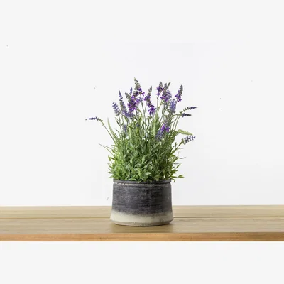Perch and Parrow Faux Lavender in Grey Pot