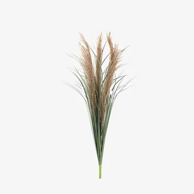 Perch and Parrow Faux Feather Seed Grass Stem, Set of 12