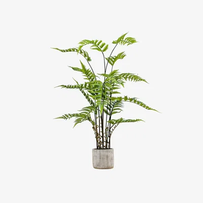 Perch and Parrow Solana Faux Fern in Stone Grey Pot, Large