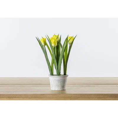 Perch and Parrow Faux Potted Tulips, Yellow