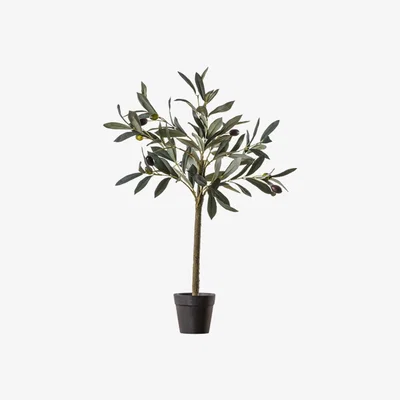 Perch and Parrow Faux Olive Tree