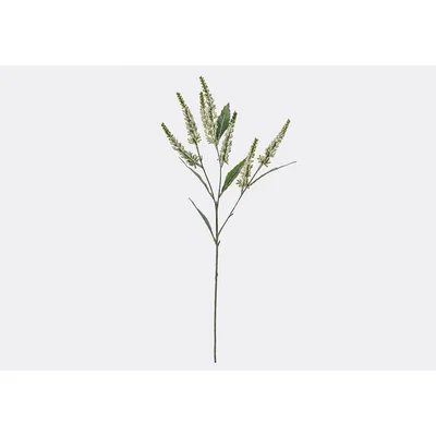Perch and Parrow Lanzini Astilbe Spray in White, Set of Three