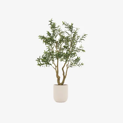 Perch and Parrow Faux Olive Tree in White Pot