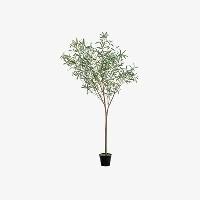 Perch and Parrow Solana Faux Olive Tree, Large