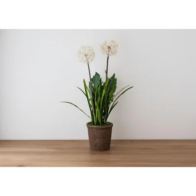 Perch and Parrow Faux Dandelion in Chestnut Painted Planter