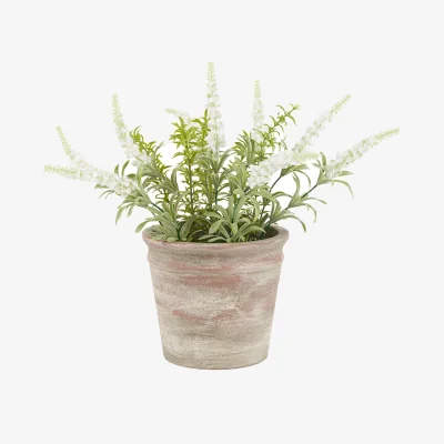 Perch and Parrow Faux White Lavender in Rustic Pot