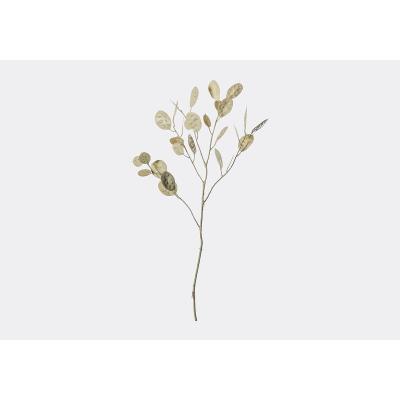 Perch and Parrow Lanzini Faux Money Tree Spray, Set of Three