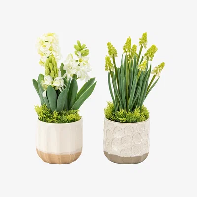 Perch and Parrow Faux White Hydrangea in Ceramic Pot, Set of 2