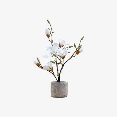 Perch and Parrow Mica Faux Potted Magnolia in White
