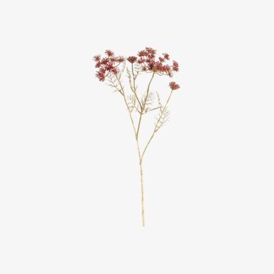 Perch and Parrow Mohican Allium Flower Spray in Russet Red