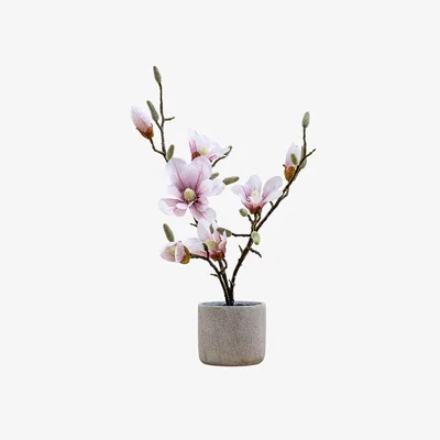 Perch and Parrow Mica Faux Potted Magnolia, Light Pink