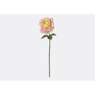 Perch and Parrow Lanzini Faux Rose Stem in Ivory and Pink, Set of Three