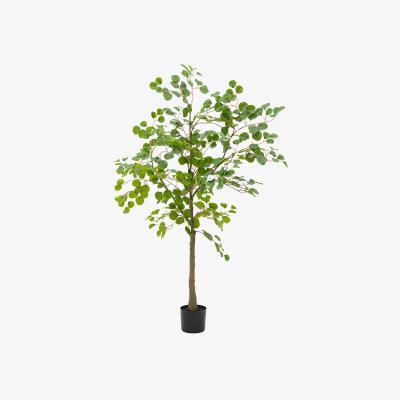 Perch and Parrow Faux Eucalyptus Tree