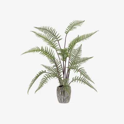 Perch and Parrow Faux Potted Tall Fern