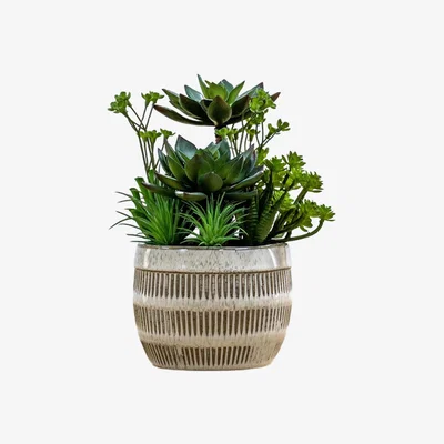 Perch and Parrow Isla Faux Mixed Succulents in Pink Pot