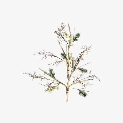 Perch and Parrow White Frosted Berry Spray - Pack of 3