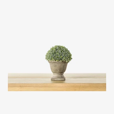 Perch and Parrow Annika Stone Effect Urn with Shrub
