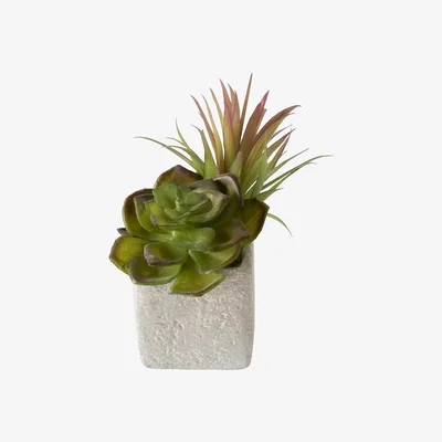 Perch and Parrow Mixed Faux Succulents in Stone Painted Planter