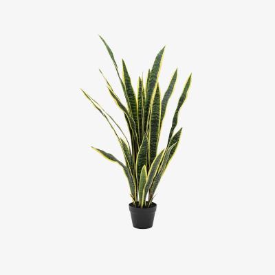 Perch and Parrow Faux Sansevieria Plant