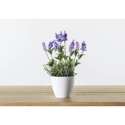 Perch and Parrow Faux Potted Heritage Lavender, Large