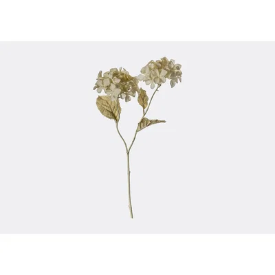 Perch and Parrow Lanzini Faux Hydrangea Dried Spray, Set of Three