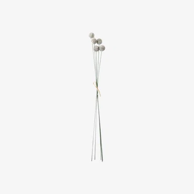 Perch and Parrow Lanzini Faux Echinops Bundle Stem in White Set of Twelve