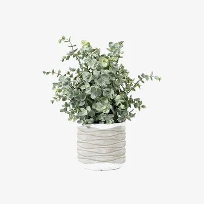 Perch and Parrow Potted Faux Eucalyptus - Large