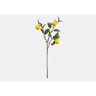 Perch and Parrow Lanzini Faux Lemon Stem