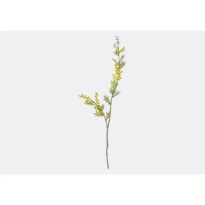 Perch and Parrow Lanzini Faux Mimosa Spray in Yellow, Set of Three