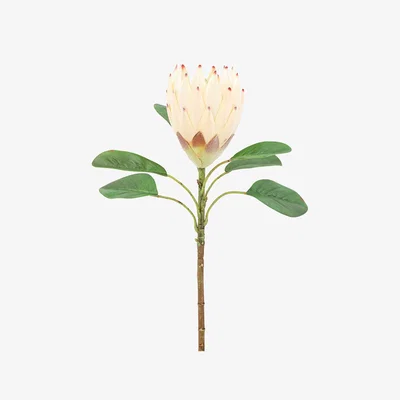 Perch and Parrow Faux Ivory Tropical Stem, Set of 12