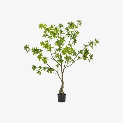 Perch and Parrow Faux Pierisjaponica Tree